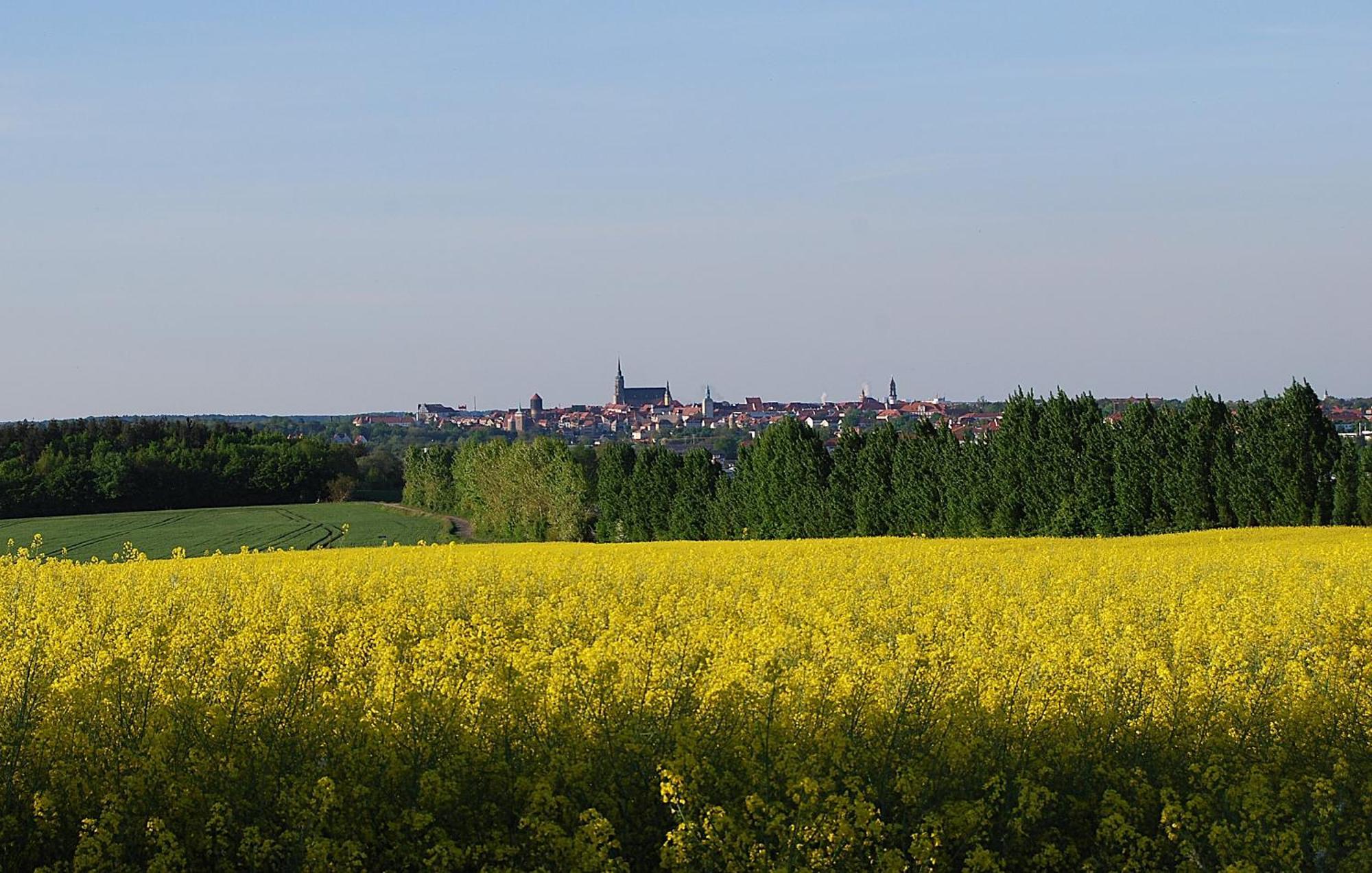 Fewo Geborgenheit Asza Mit Strahlungsfreien Zonen Bautzen Esterno foto